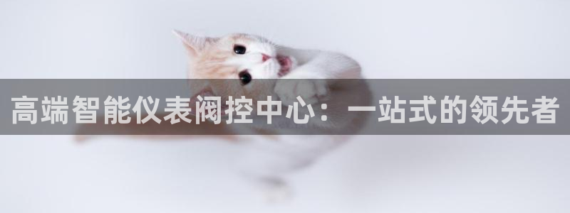 顺盈娱乐主管审判官333OO