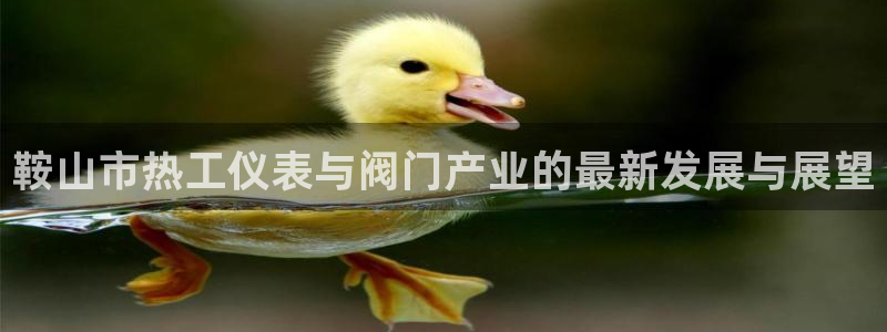清远顺盈娱乐文案
