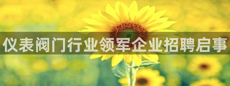 顺盈娱乐最高代理是谁呀