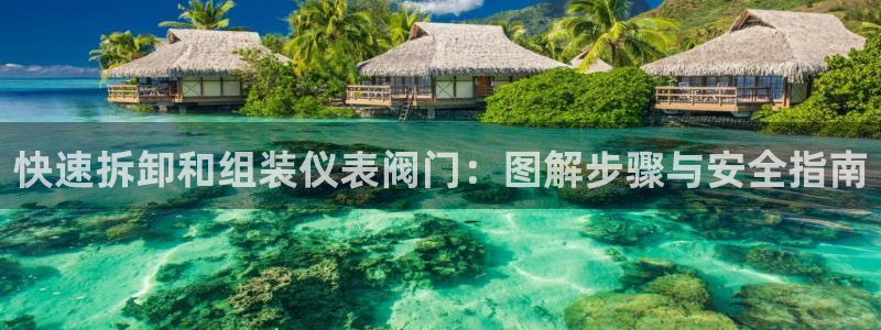 顺盈娱乐平台