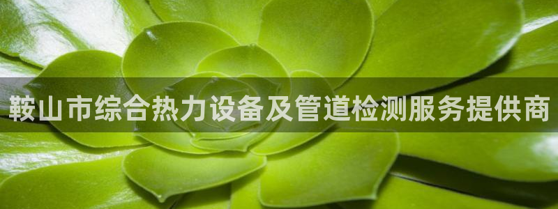 顺盈娱乐是天系列平台