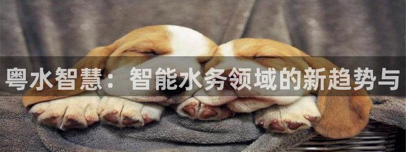 顺盈娱乐西班牙28房