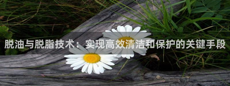 顺盈娱乐注册更究333OO
