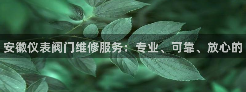 顺盈娱乐口究7276O