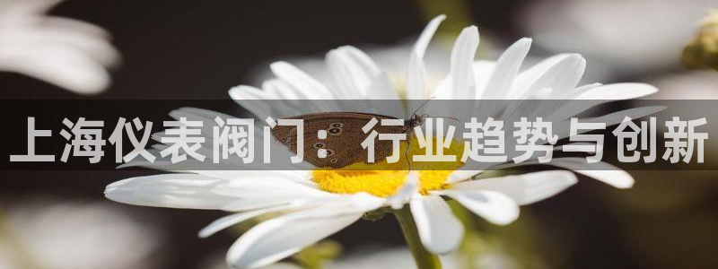 顺盈娱乐最高代理是谁啊