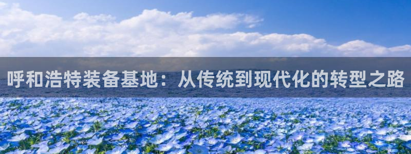 顺盈娱乐28是什么意思