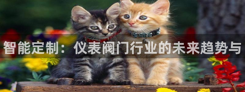 顺盈娱乐在线教育