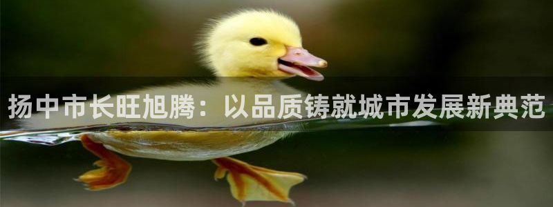 顺盈娱乐在线开户官网
