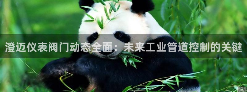 清远顺盈广场娱乐