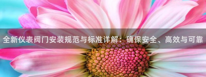 顺盈娱乐总代理是谁