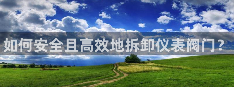 顺盈娱乐招商下原判官333OO