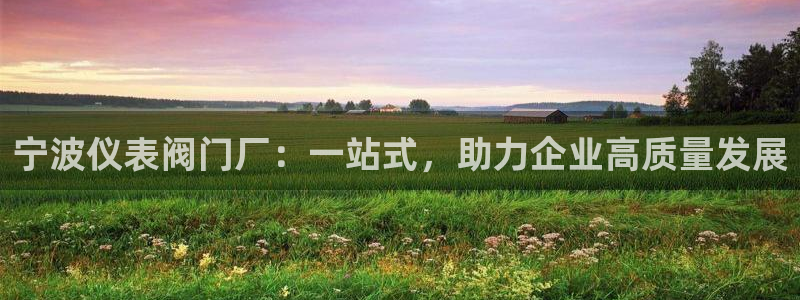 顺盈娱乐平台怎么样