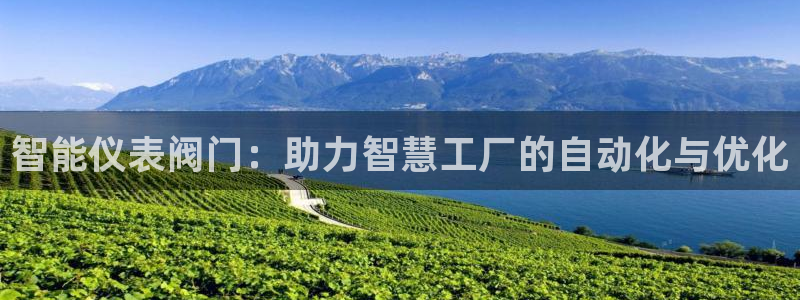 顺盈娱乐平台登录