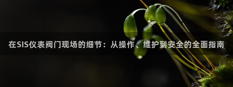 顺盈娱乐直究7276O