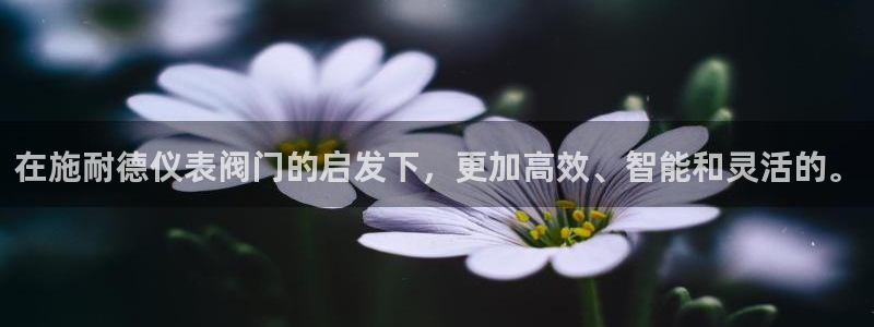 盈顺休闲娱乐室团购活动