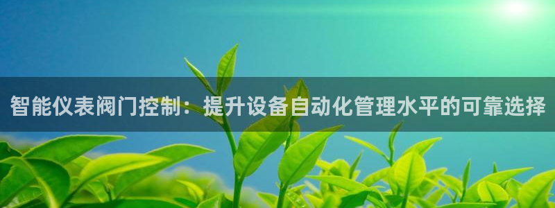 顺盈娱乐28是什么意思