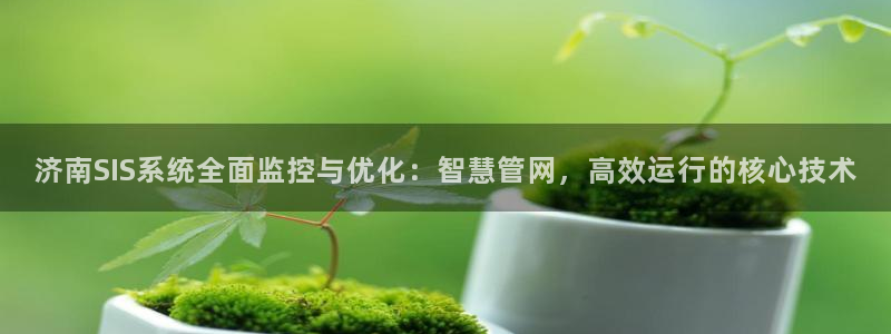 顺盈娱乐28是什么意思