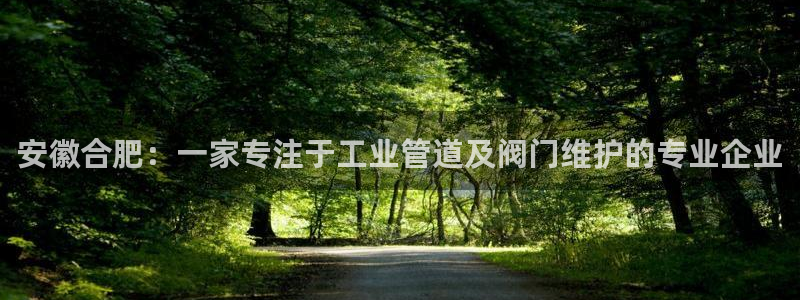顺盈娱乐975949