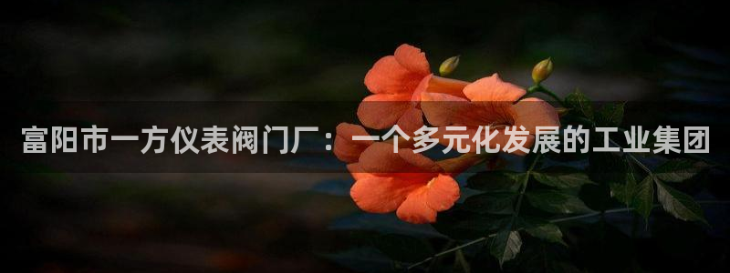 顺盈2娱乐彩票