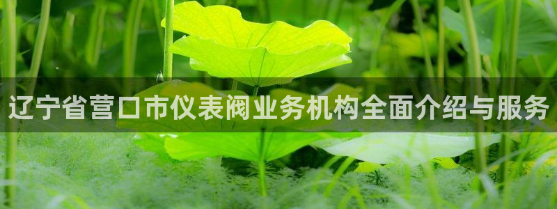 盈顺休闲娱乐室怎么样