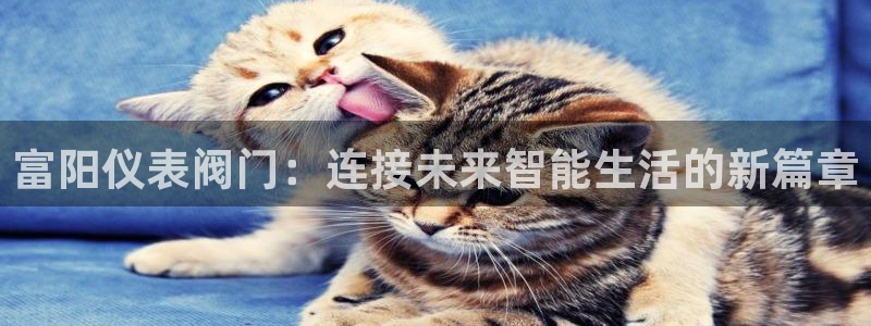 顺盈娱乐猪