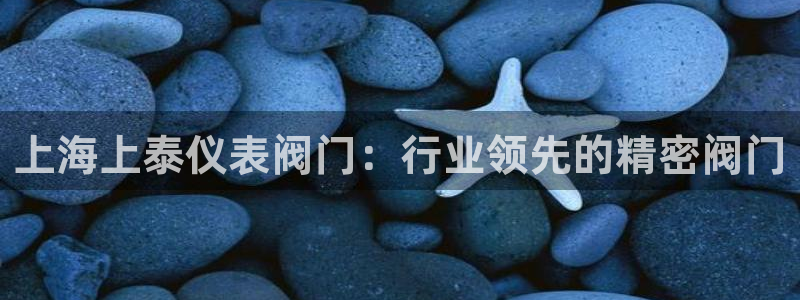 顺盈2娱乐