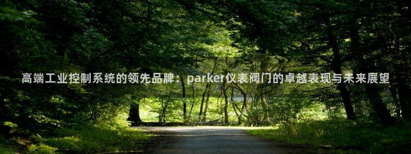 顺盈娱乐是什么