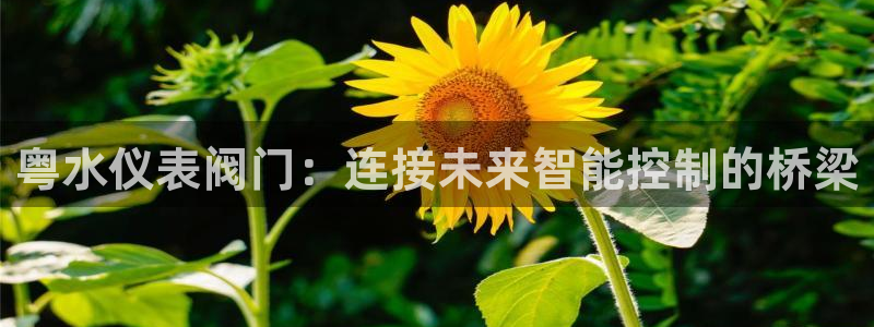顺盈广场团购娱乐
