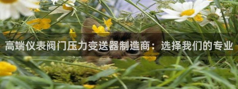 顺盈娱乐注册问一问