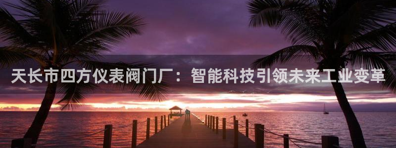 顺盈娱乐28是什么意思