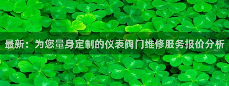 清远顺盈娱乐公司