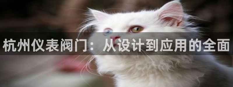 顺盈娱乐平台注册时间