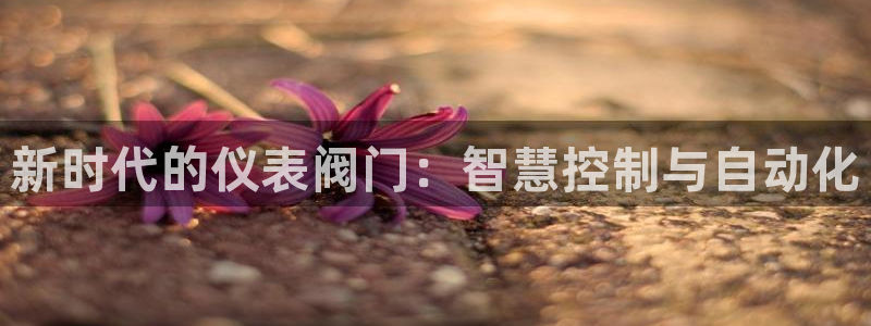 顺盈娱乐平台登录不了