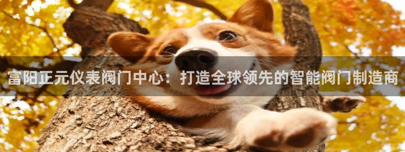 顺盈娱乐在线教育