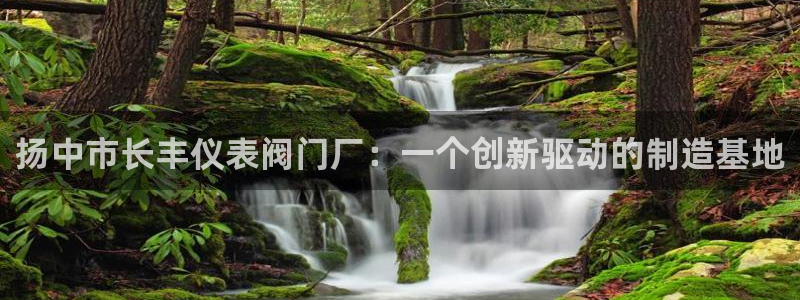 顺盈彩票娱乐