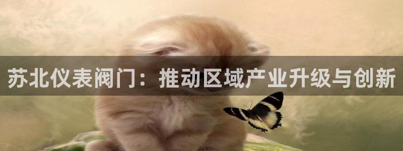 顺盈娱乐最高代理是谁啊