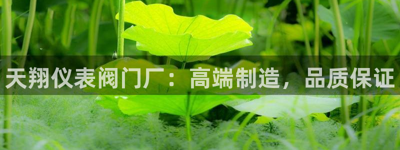 顺盈娱乐平台注册