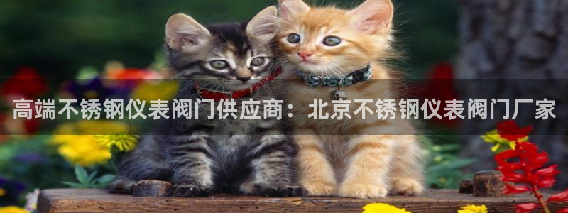 盈顺休闲娱乐室怎么样
