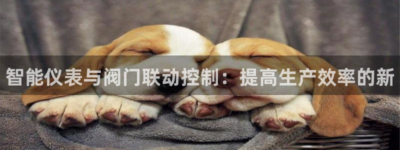 顺盈娱乐注册求判官333OO