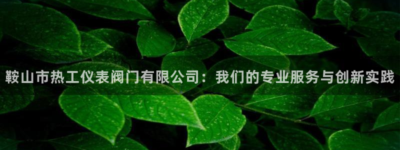 顺盈平台娱乐