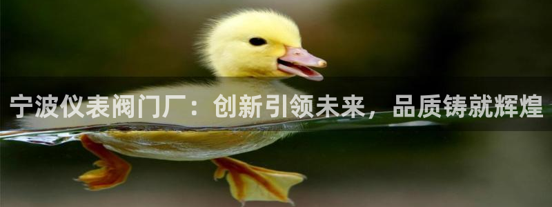 顺盈2娱乐游戏开发商