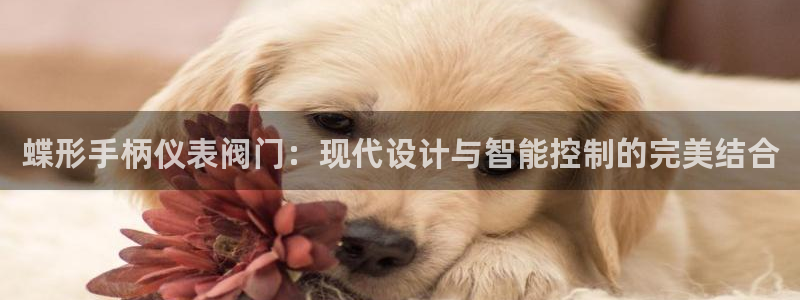 顺盈娱乐主管怎么样