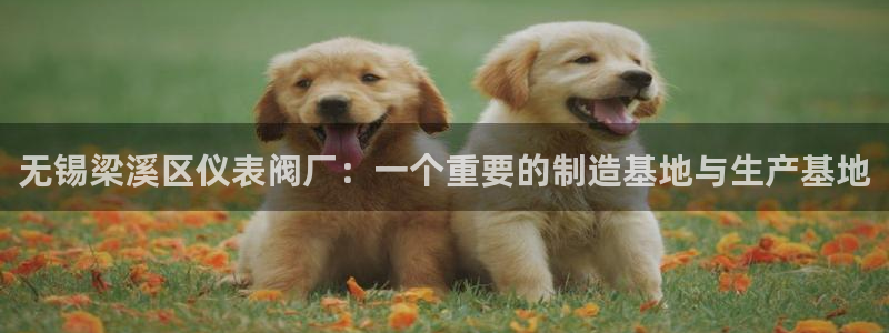 顺盈娱乐认究7276O