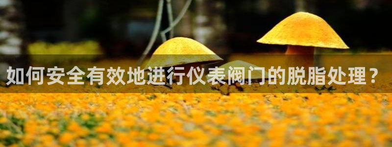 清远顺盈游戏娱乐
