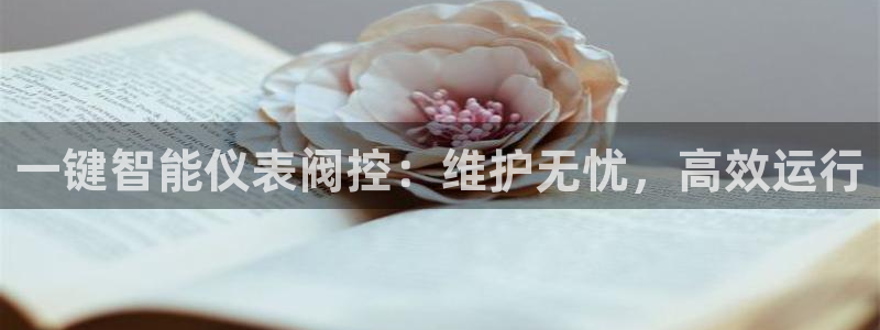 顺盈娱乐招商