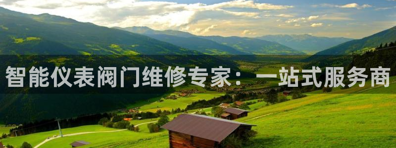 顺盈娱乐注册助判官333OO