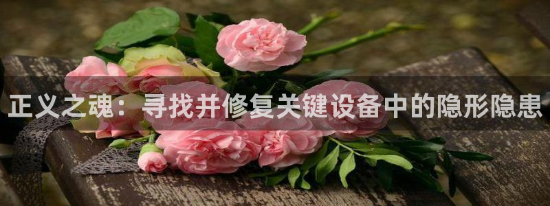 顺盈娱乐28是什么