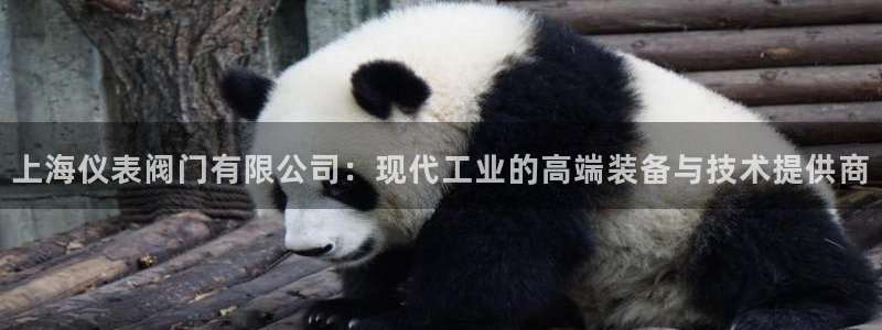 顺盈娱乐招商下原判官333OO