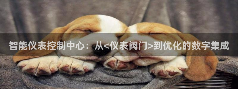 顺盈娱乐28是什么?