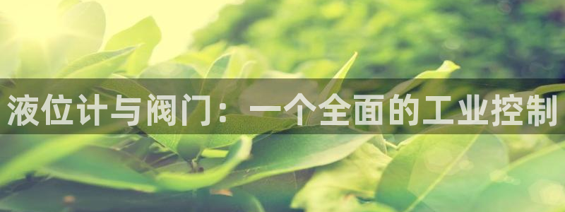 顺盈娱乐注册登录